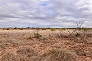 1050 County Road 258 Santa Anna TX 76878