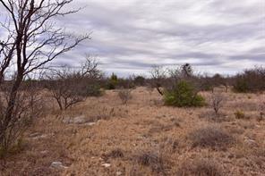 1050 County Road 258 Santa Anna TX 76878