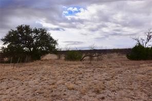 1050 County Road 258 Santa Anna TX 76878