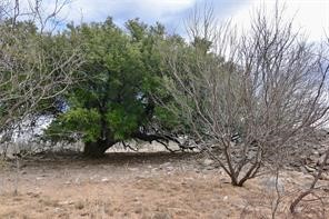 1050 County Road 258 Santa Anna TX 76878