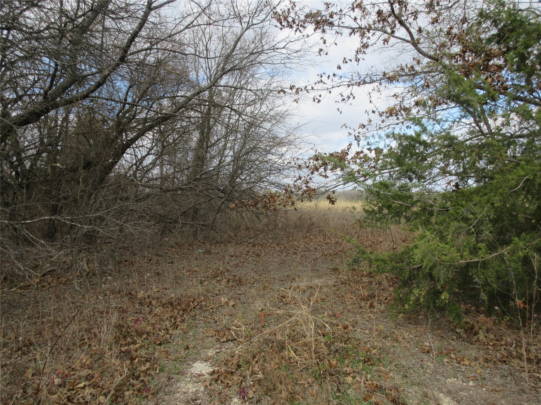 Tbd County Road 3040 Bonham TX 75418