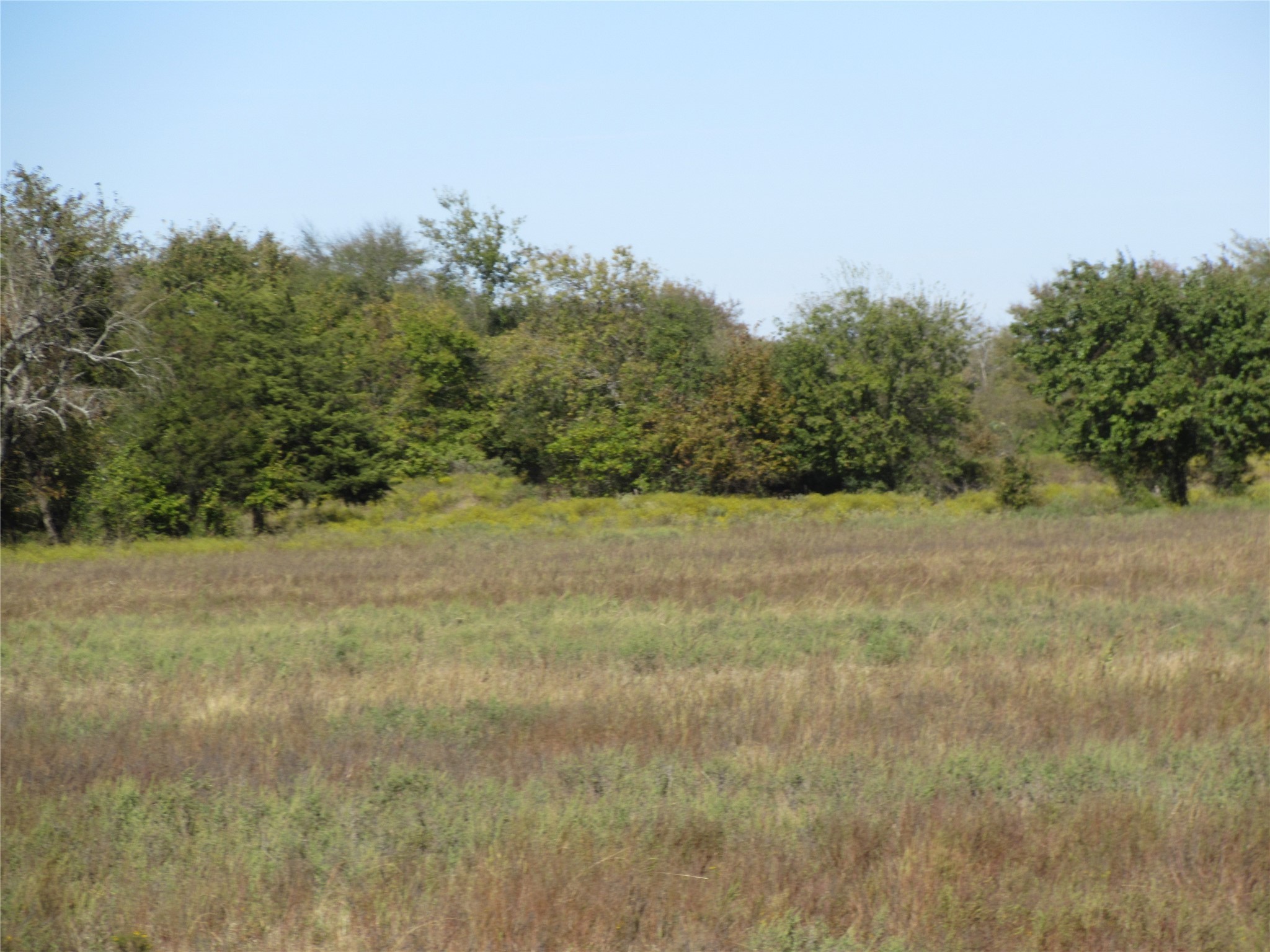 Tbd County Road 3040 Bonham TX 75418