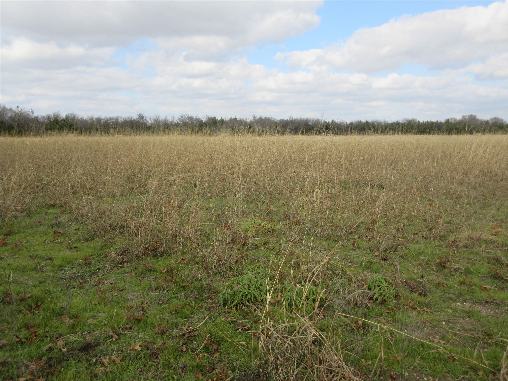Tbd County Road 3040 Bonham TX 75418