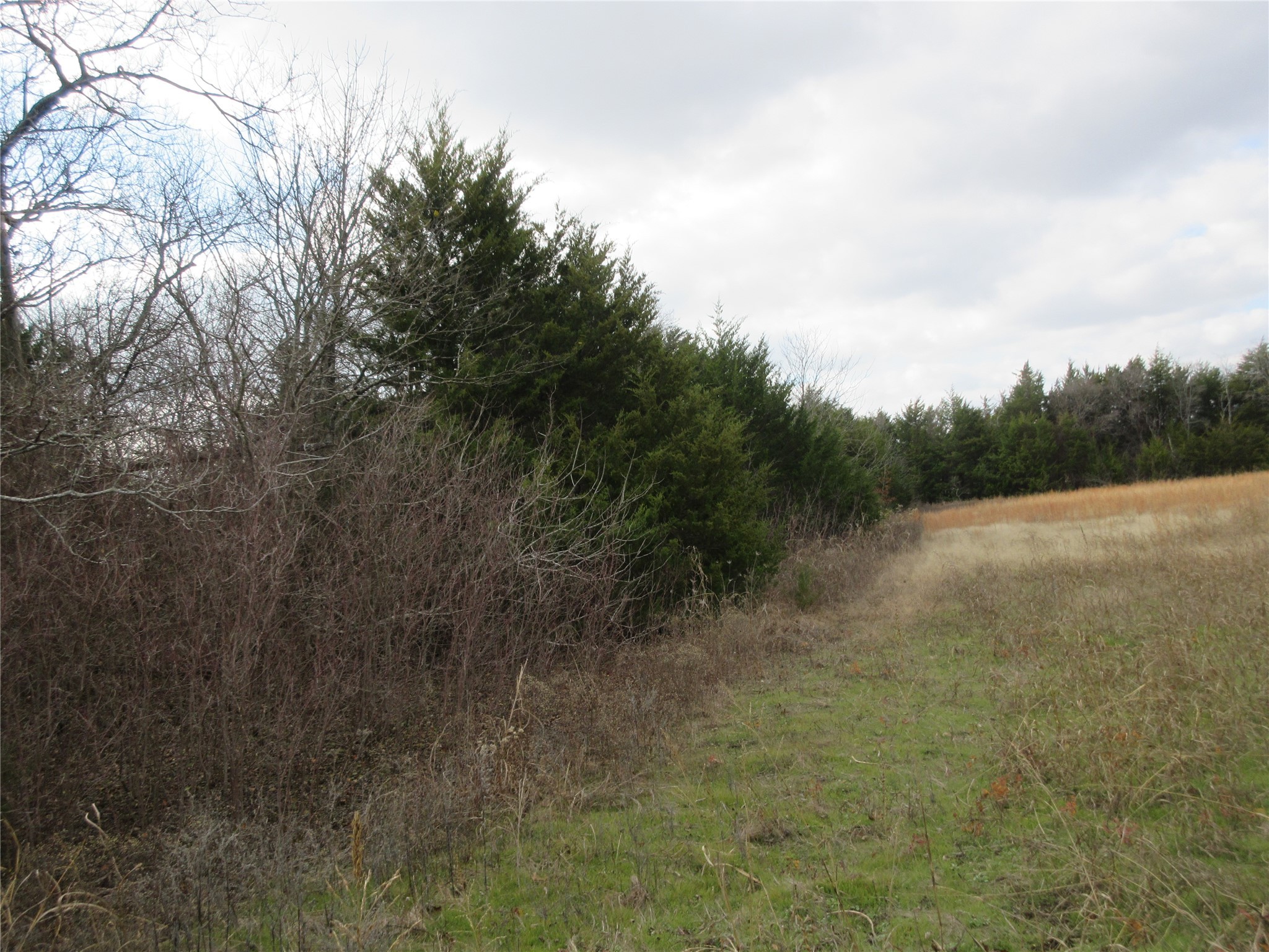 Tbd County Road 3040 Bonham TX 75418