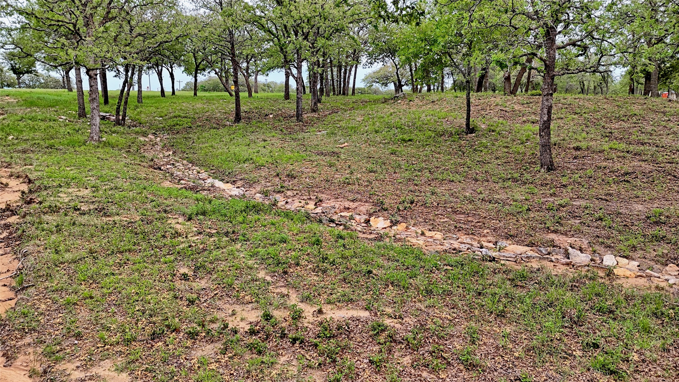 Tbd Fm 1956 Nocona TX 76255