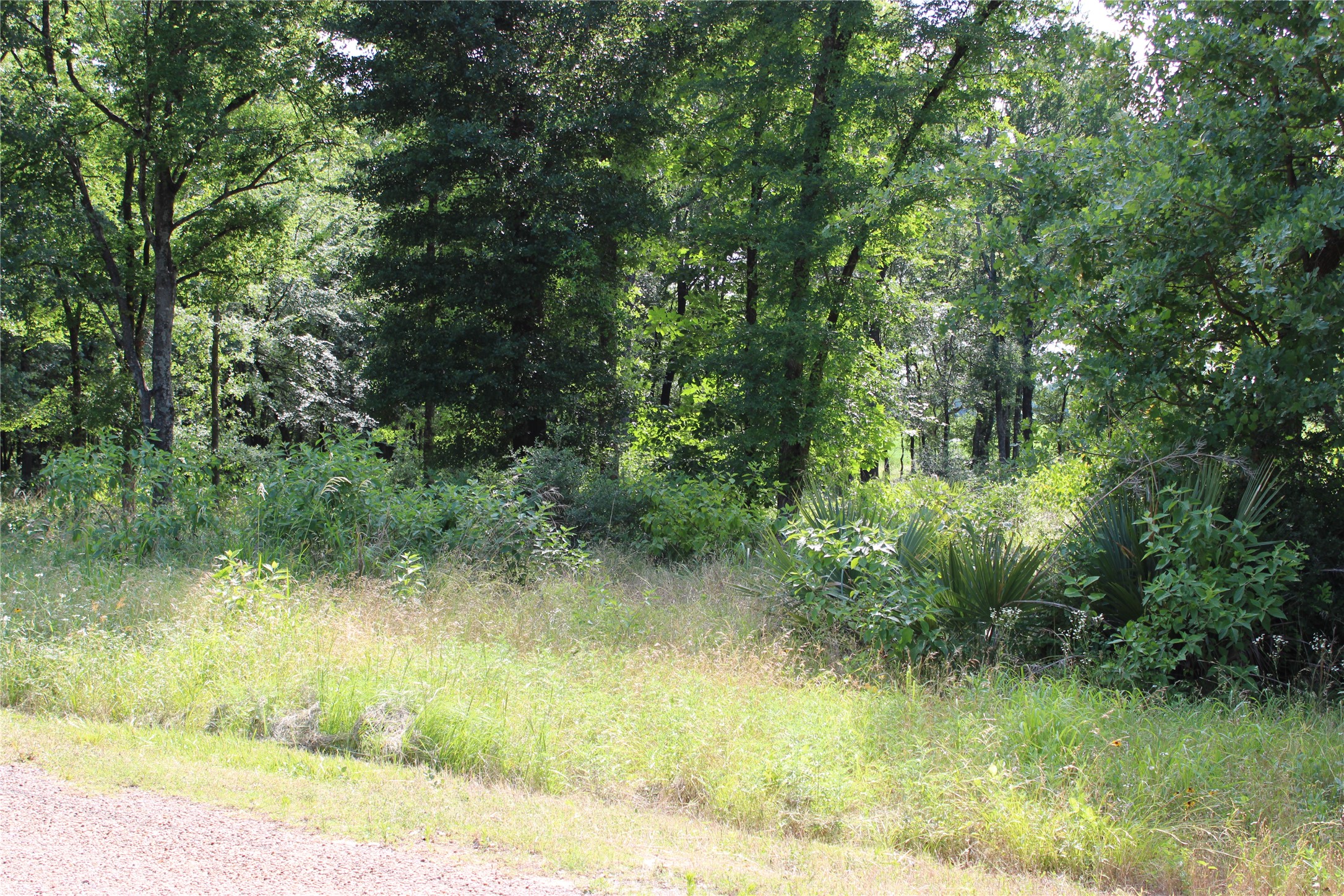 116 Lakeview Trail Mabank TX 75147
