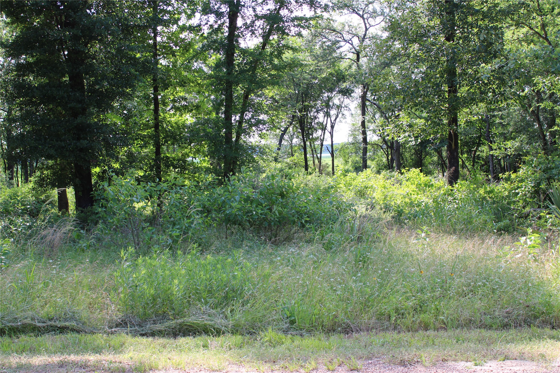 116 Lakeview Trail Mabank TX 75147
