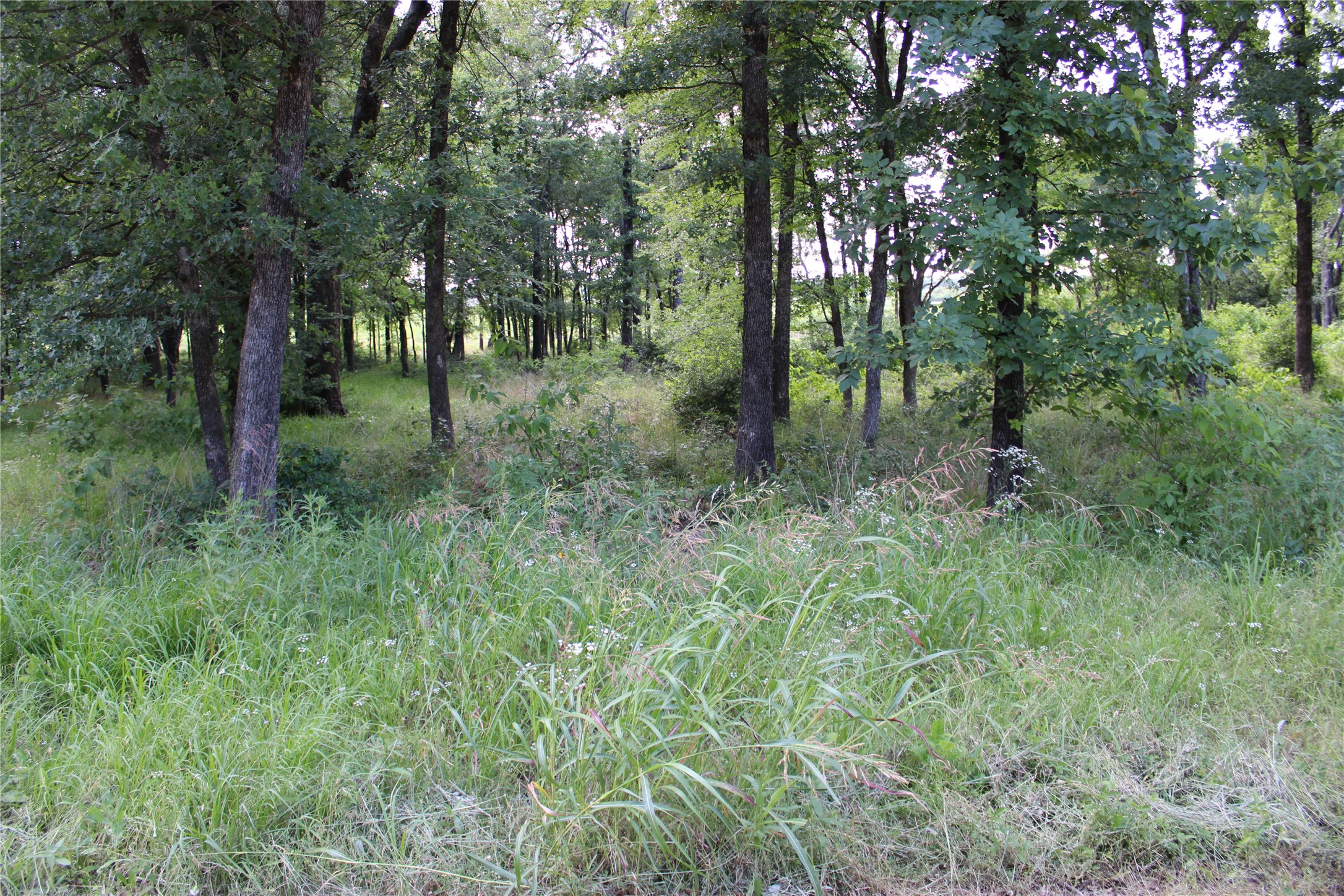 116 Lakeview Trail Mabank TX 75147