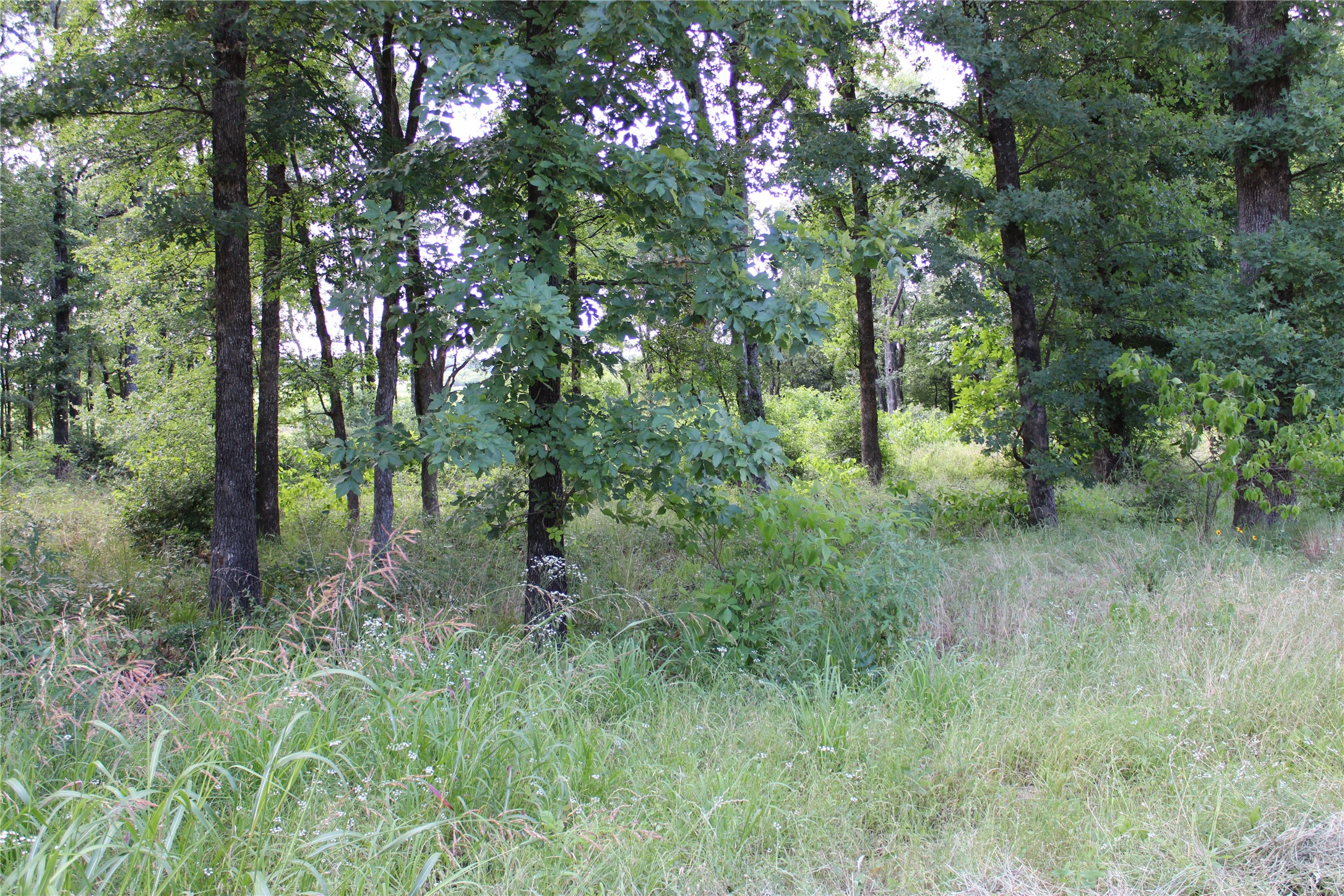 116 Lakeview Trail Mabank TX 75147