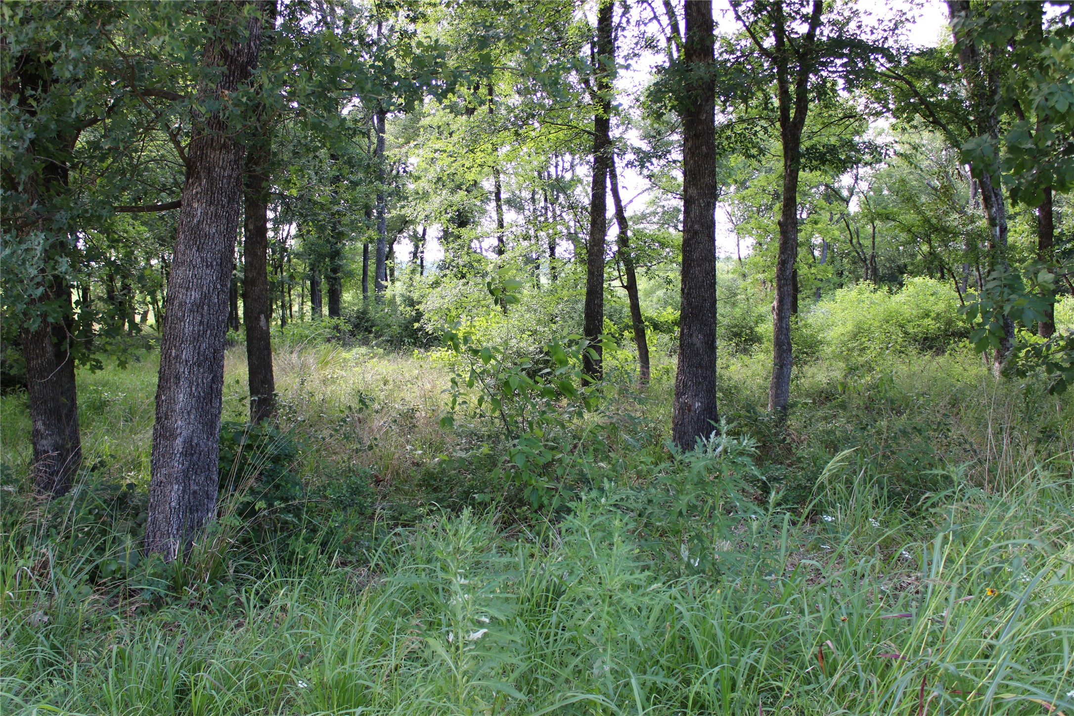 116 Lakeview Trail Mabank TX 75147