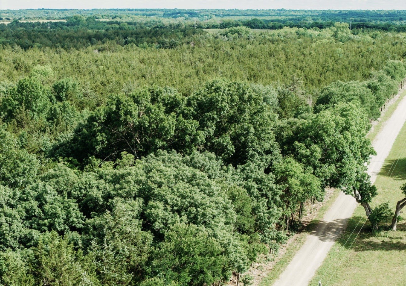 Tbd Cr 2975 Honey Grove TX 75446