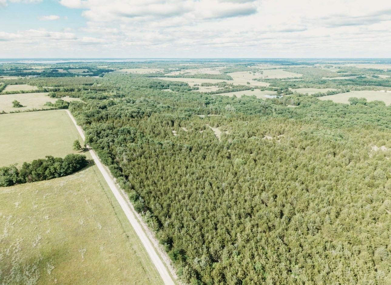 Tbd Cr 2975 Honey Grove TX 75446