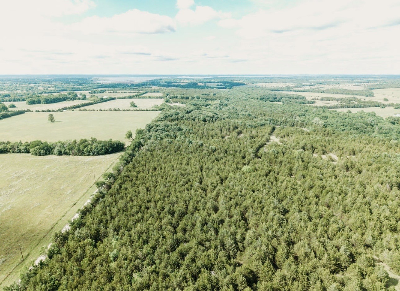 Tbd Cr 2975 Honey Grove TX 75446