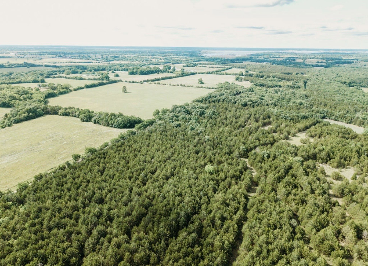 Tbd Cr 2975 Honey Grove TX 75446