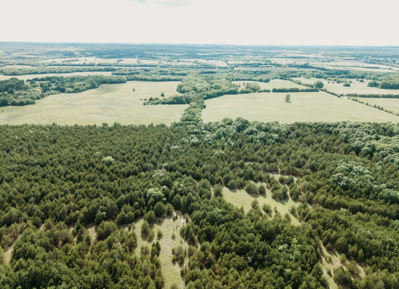 Tbd Cr 2975 Honey Grove TX 75446