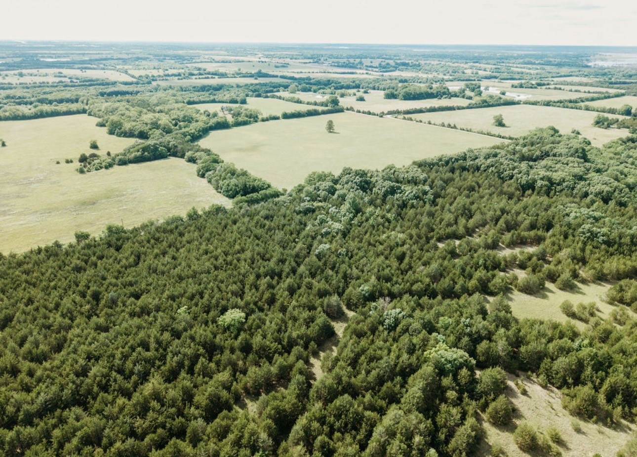 Tbd Cr 2975 Honey Grove TX 75446