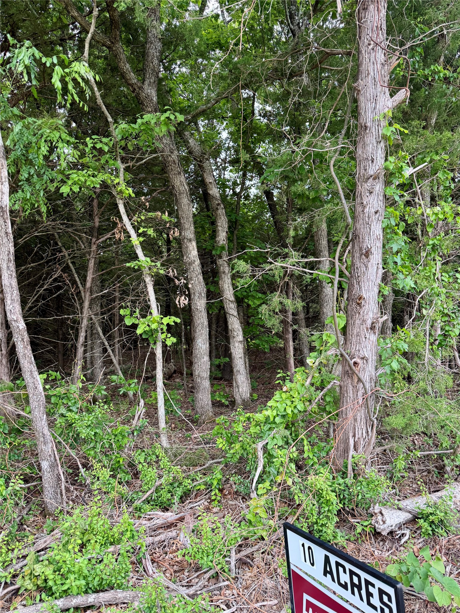 Tbd Cr 2975 Honey Grove TX 75446