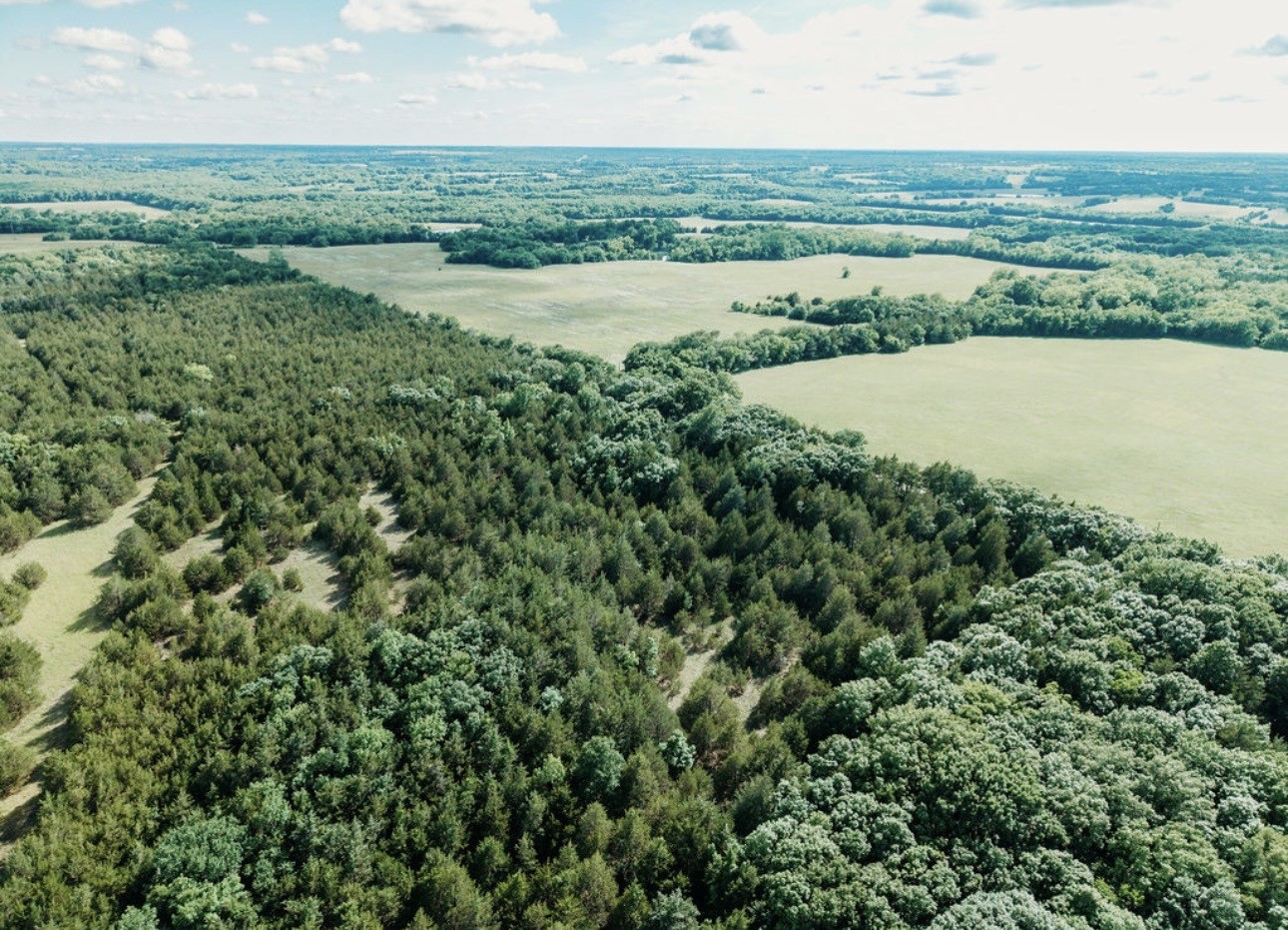Tbd Cr 2975 Honey Grove TX 75446