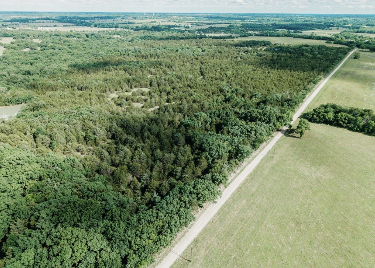 Tbd Cr 2975 Honey Grove TX 75446