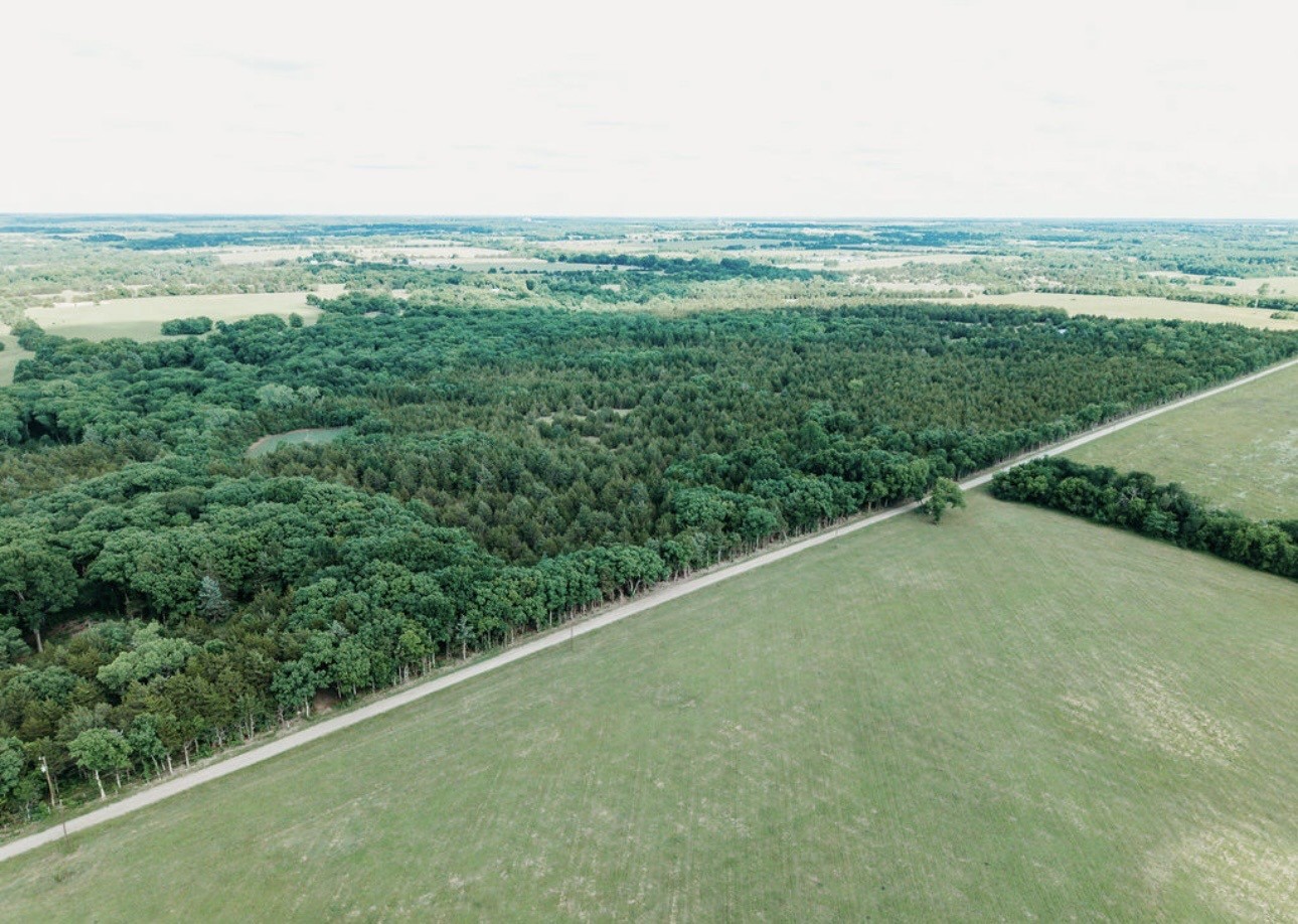 Tbd Cr 2975 Honey Grove TX 75446