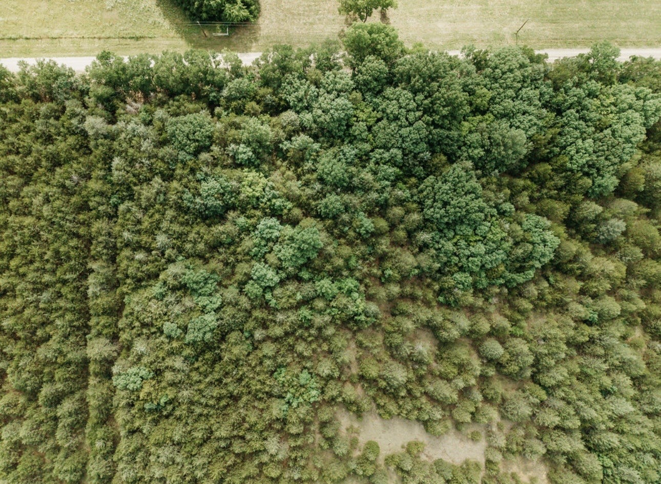 Tbd Cr 2975 Honey Grove TX 75446