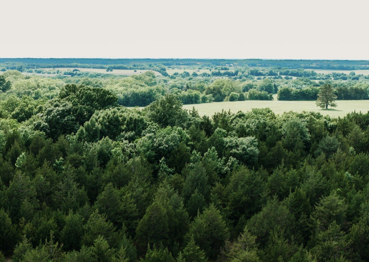 Tbd Cr 2975 Honey Grove TX 75446