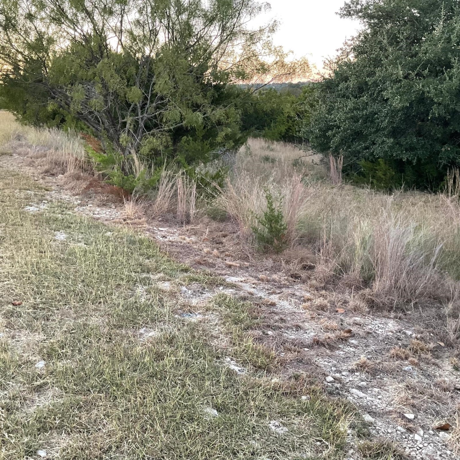 731 County Road 3372 Kempner TX 76539