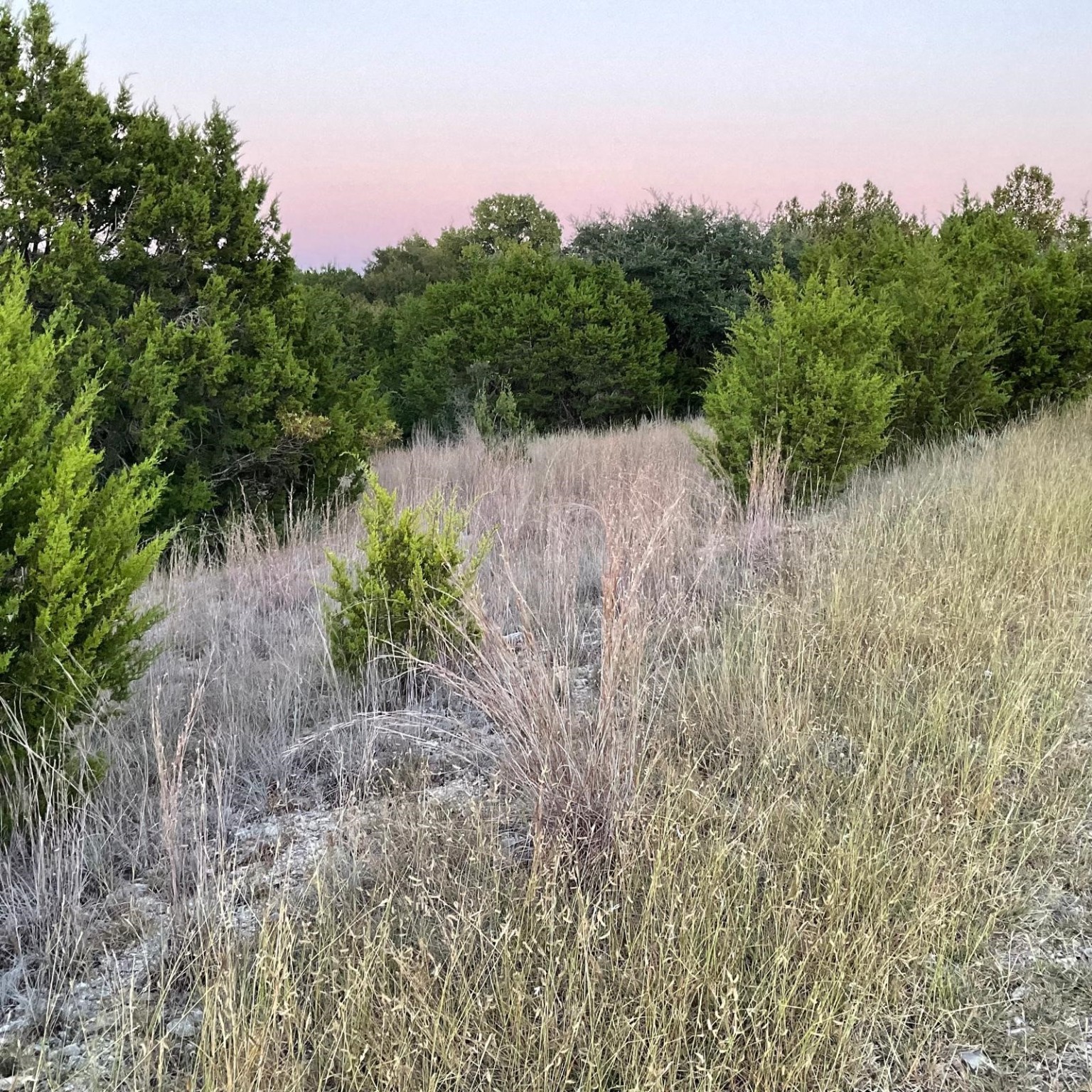 731 County Road 3372 Kempner TX 76539