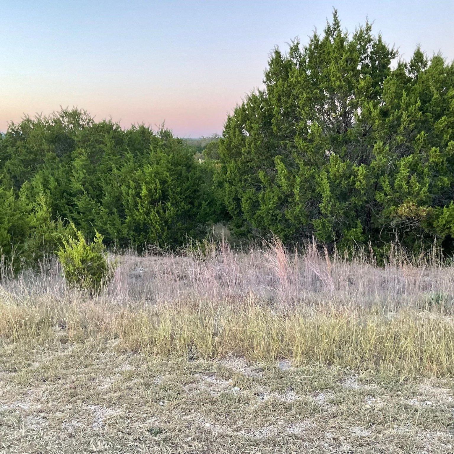 731 County Road 3372 Kempner TX 76539