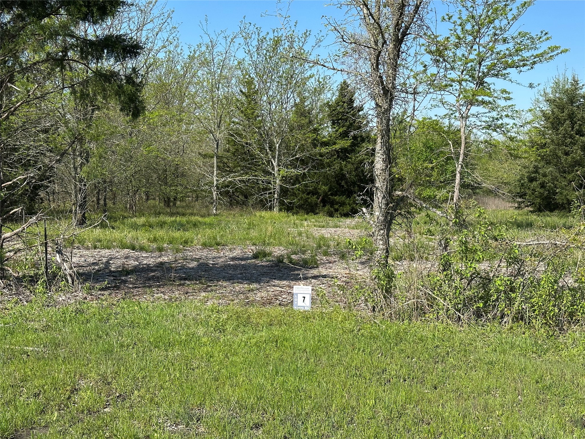 Tract 7 Farm To Market 1743 Honey Grove TX 75446