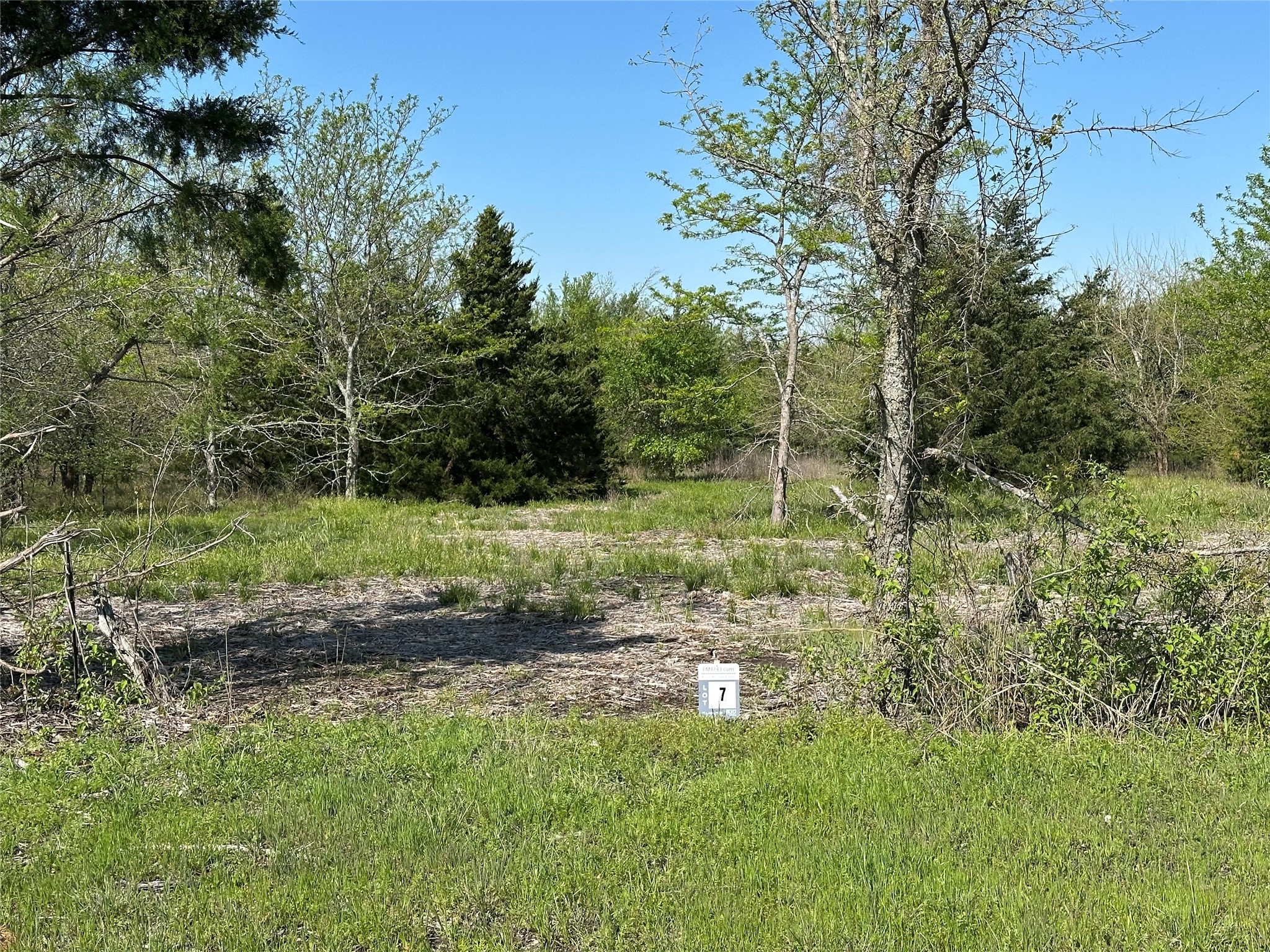 Tract 7 Farm To Market 1743 Honey Grove TX 75446