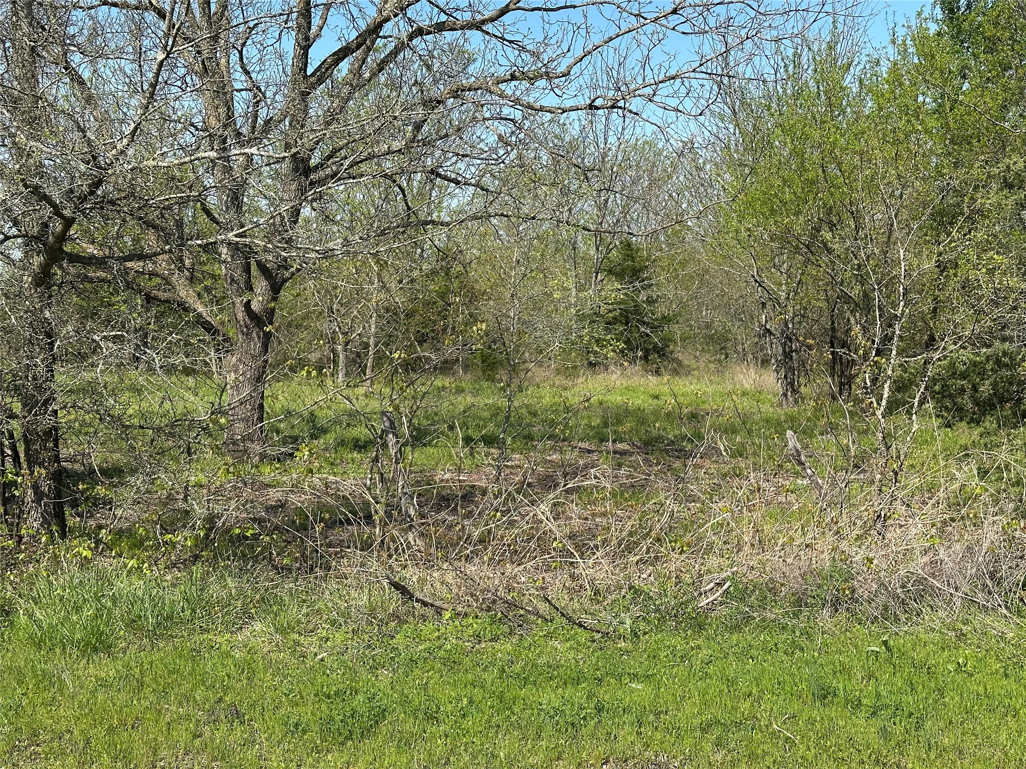 Tract 7 Farm To Market 1743 Honey Grove TX 75446