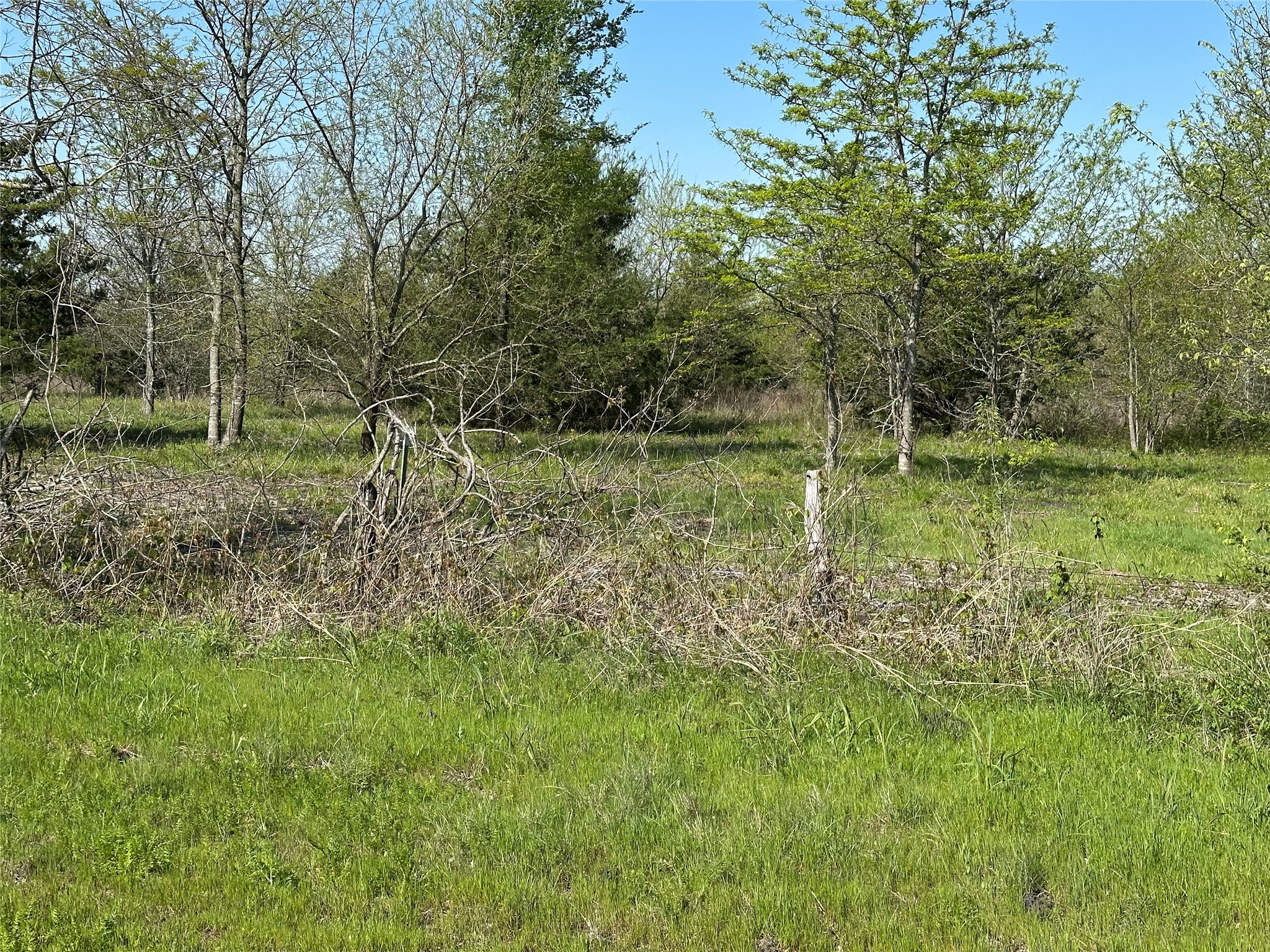 Tract 7 Farm To Market 1743 Honey Grove TX 75446