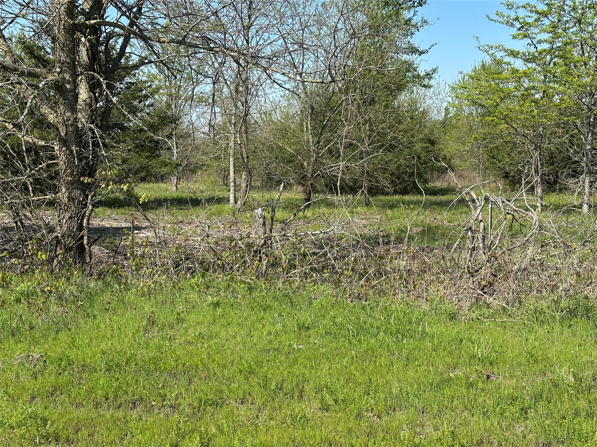 Tract 7 Farm To Market 1743 Honey Grove TX 75446