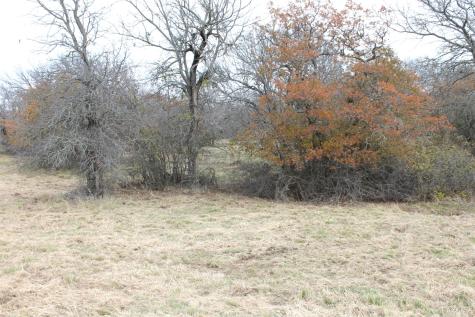 Lot 202 Ridgeline Drive Chico TX 76431
