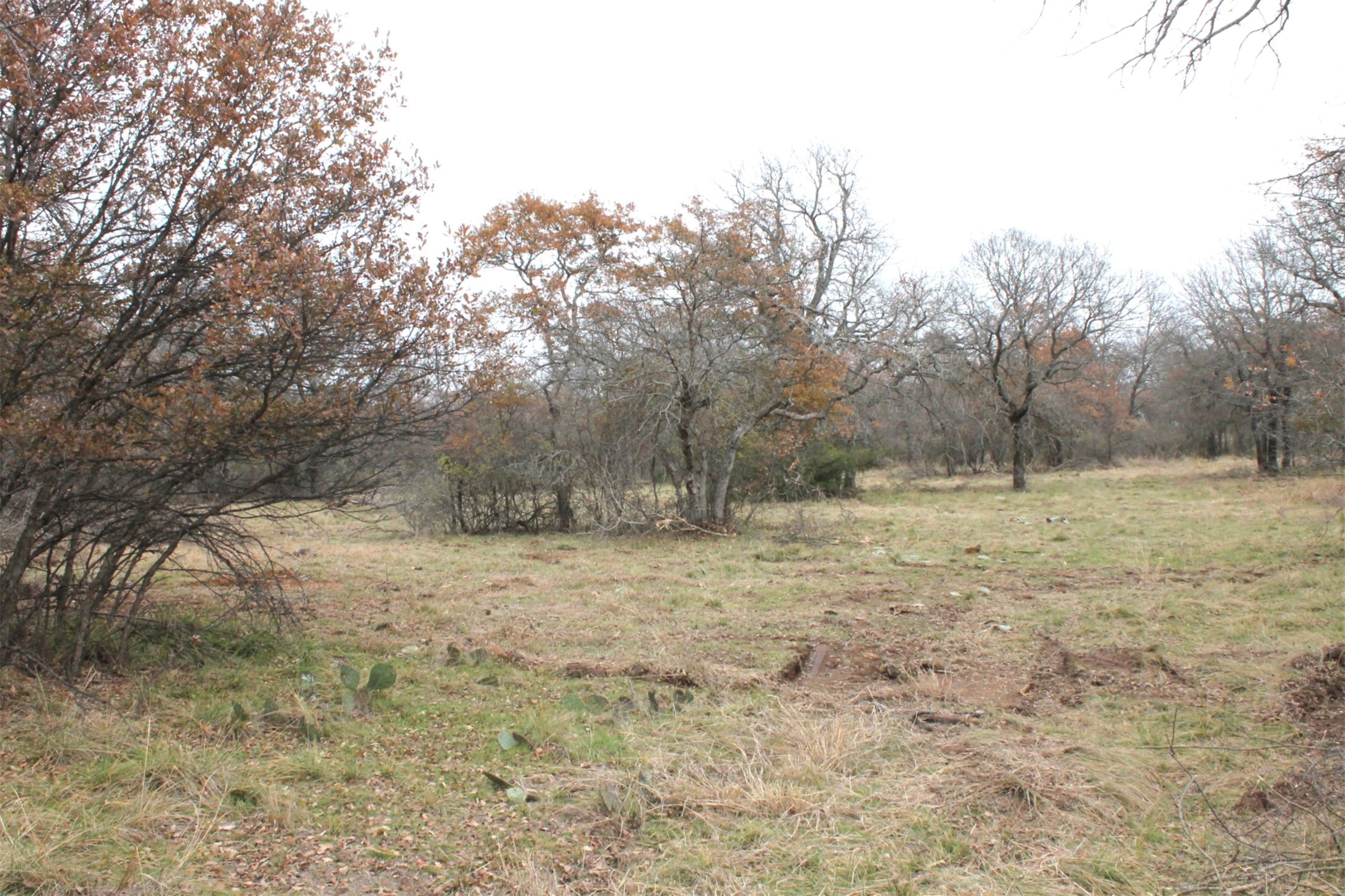 Lot 202 Ridgeline Drive Chico TX 76431