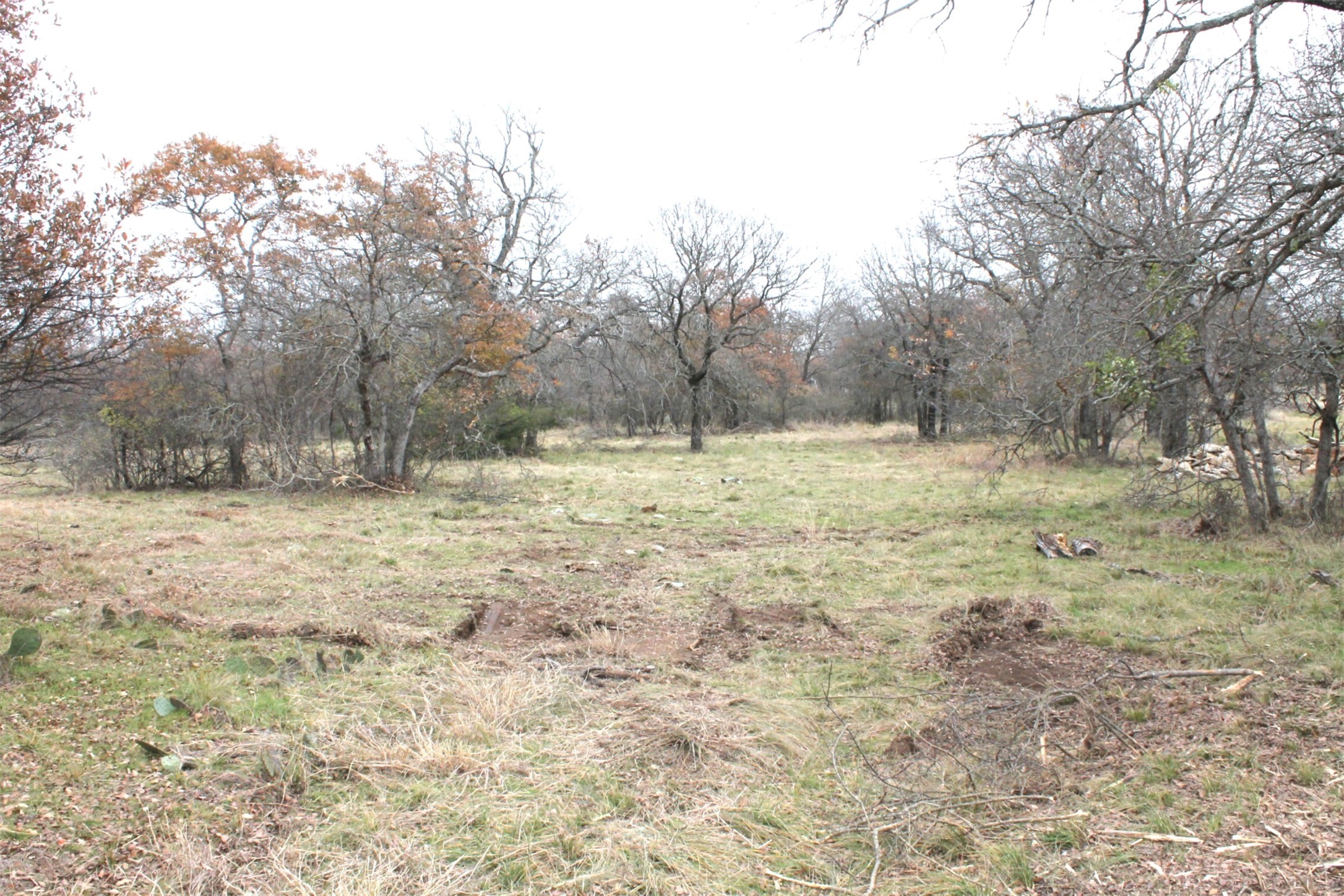 Lot 202 Ridgeline Drive Chico TX 76431
