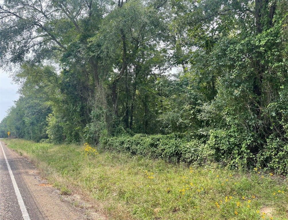Tbd Fm 1519 Pittsburg TX 75686