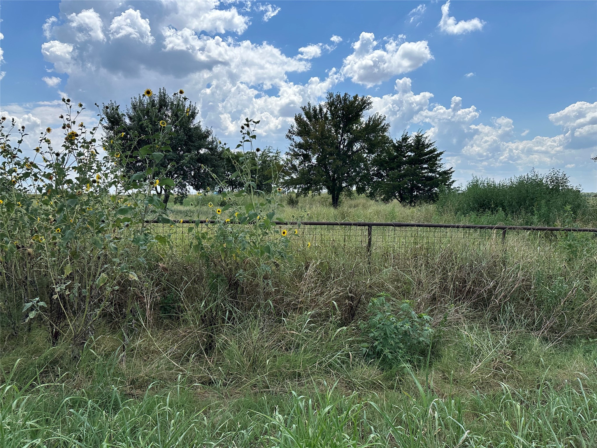 Lot 6 Rutledge Road Whitewright TX 75491