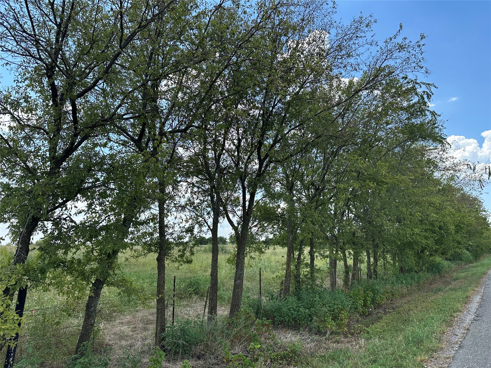Lot 6 Rutledge Road Whitewright TX 75491