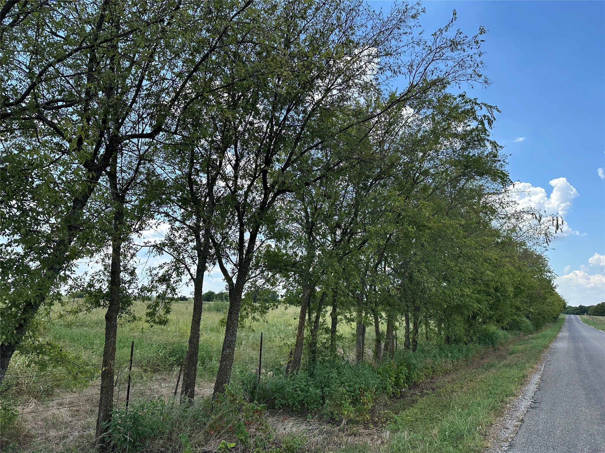 Lot 6 Rutledge Road Whitewright TX 75491
