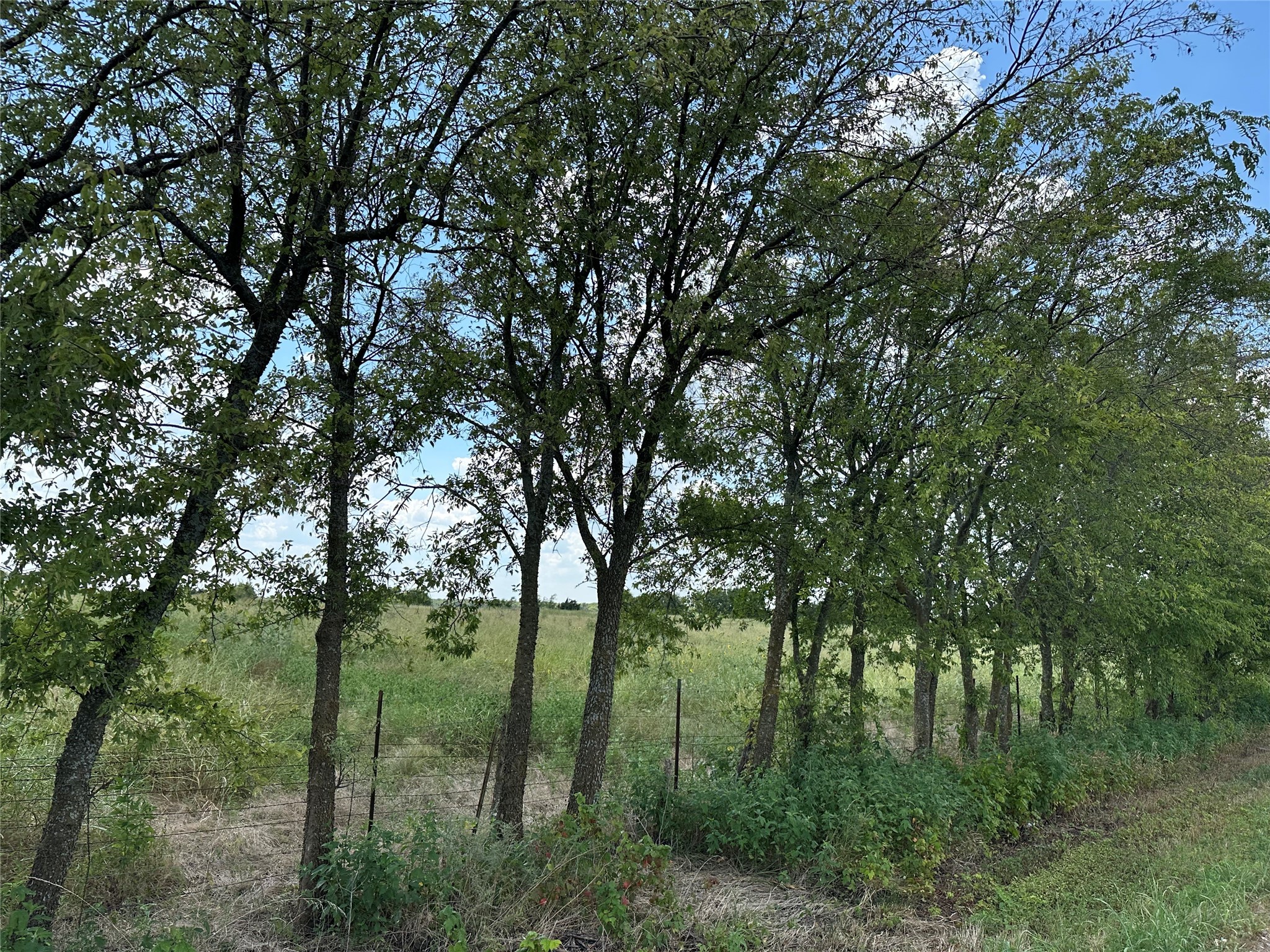 Lot 6 Rutledge Road Whitewright TX 75491