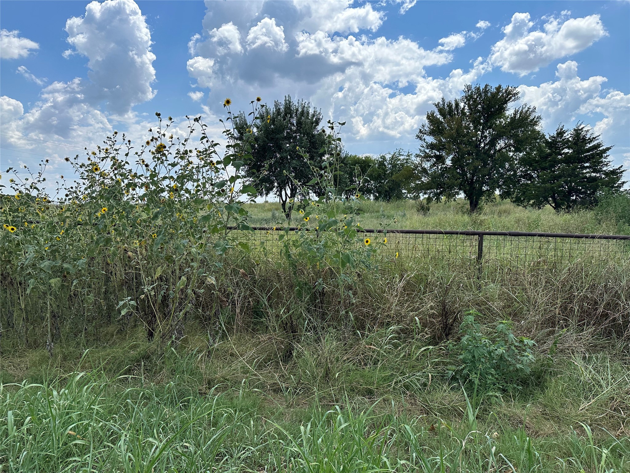 Lot 6 Rutledge Road Whitewright TX 75491