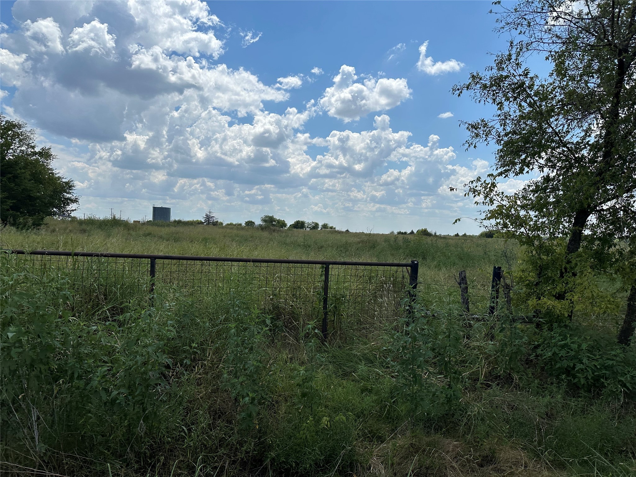 Lot 6 Rutledge Road Whitewright TX 75491