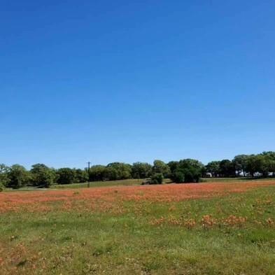 Tbd County Road 1480 Alvord TX 76431