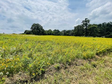 1037 Gonzollas Road Springtown TX 76082