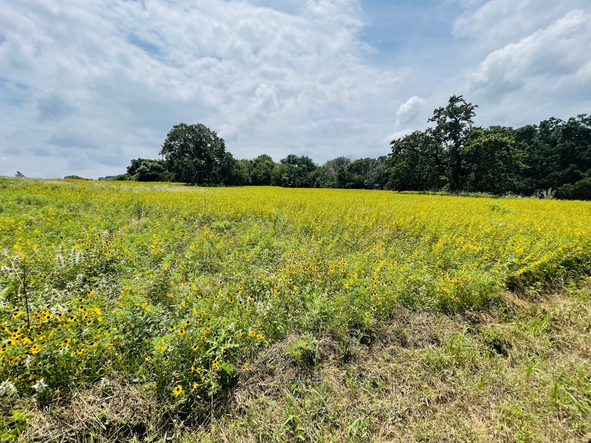 1037 Gonzollas Road Springtown TX 76082
