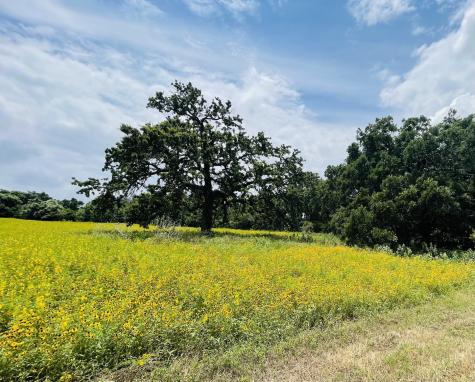 1037 Gonzollas Road Springtown TX 76082