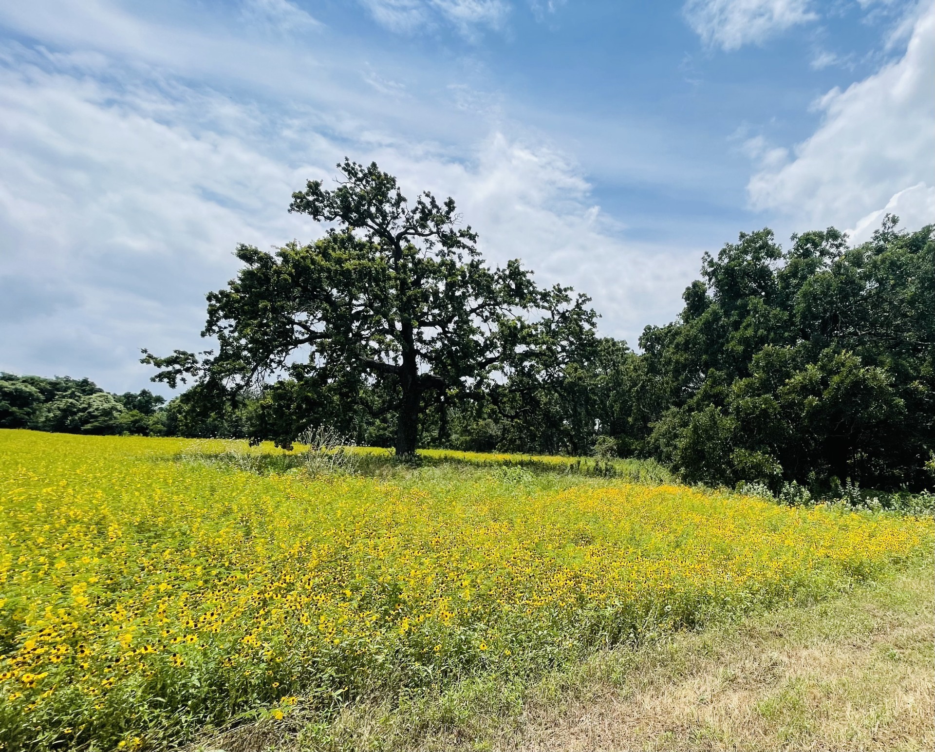 1037 Gonzollas Road Springtown TX 76082
