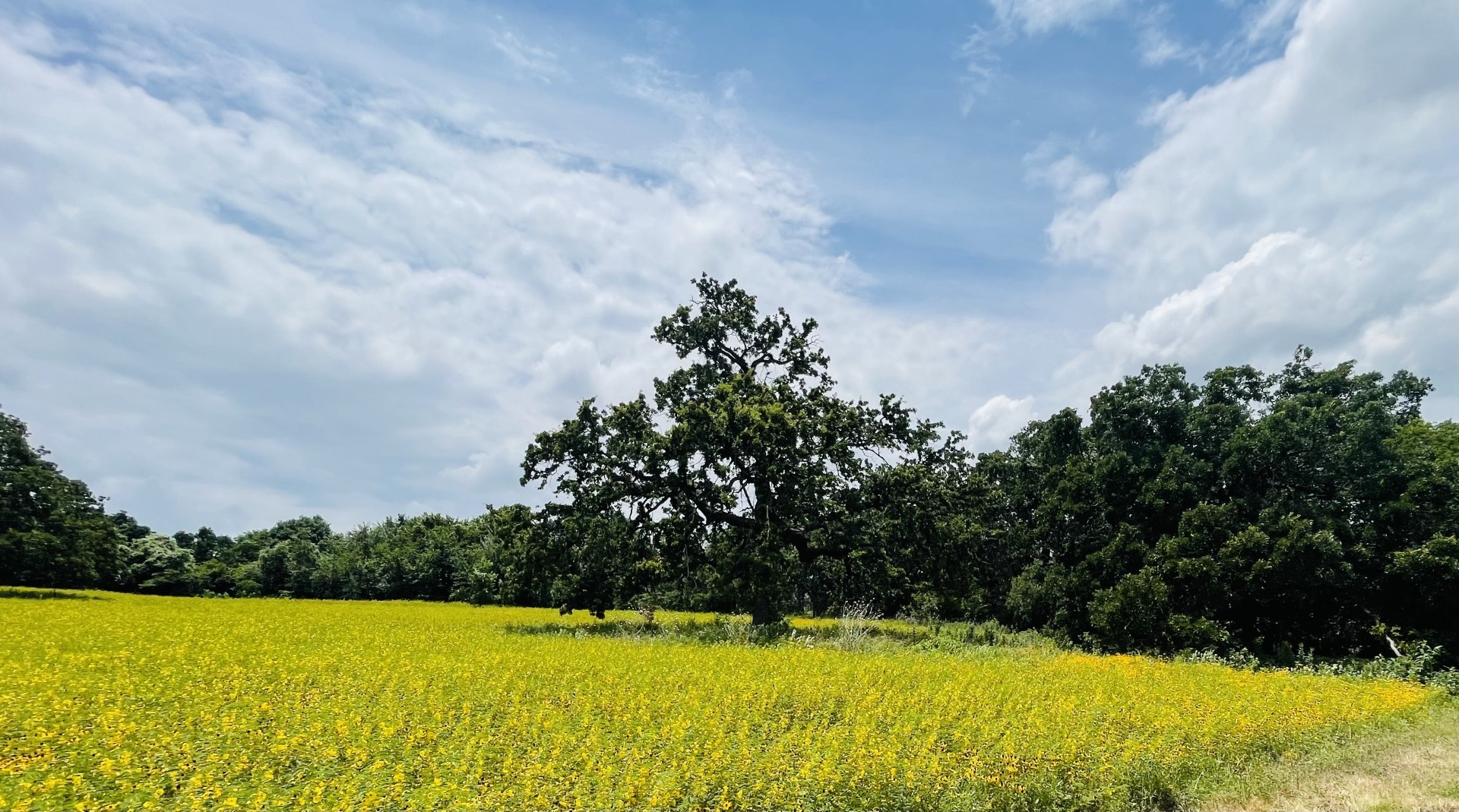 1037 Gonzollas Road Springtown TX 76082